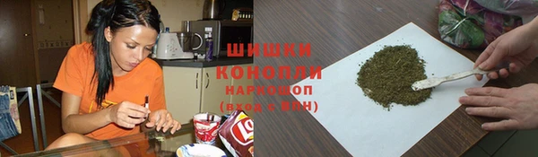 винт Лабытнанги